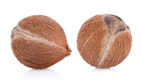 Coconut on a white background Photos