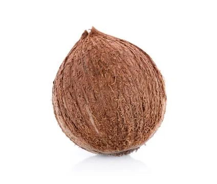 Coconut on a white background Photos