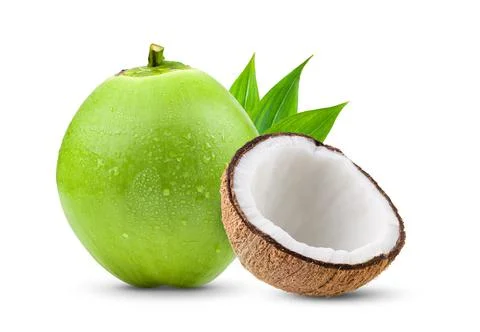 Coconut on white background Stock Photos