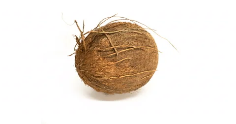 Coconut on white Stock Footage 69030782