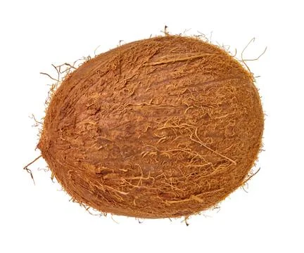 Coconut on a white isolated background Stock Photos