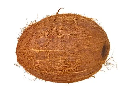 Coconut on a white isolated background Stock Photos