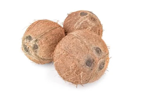 Coconut on white Stock Photos