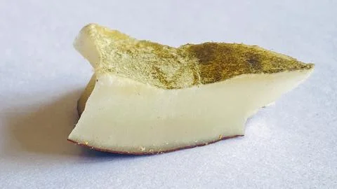 Coconut white shape Stock Photos