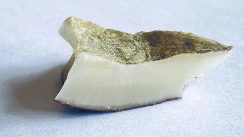 Coconut white shape Stock Photos