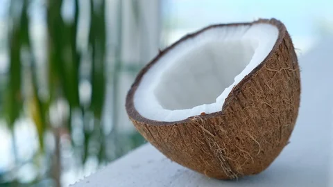 Coconut on a white terrace Stock Footage 129562334