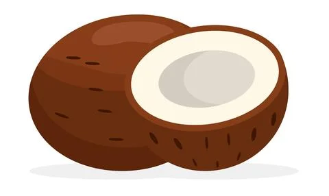 Coconut Whole and half . Flat vector illustration isolated on white backgroun Ilustração Stock