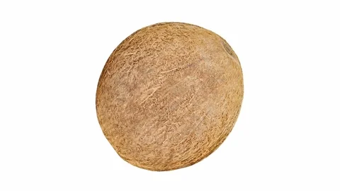 Coconut whole, rotating on white background, turning Video stock 245519307
