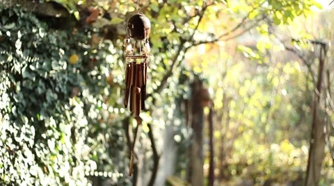 Coconut Wind chime Stock Footage 56937938