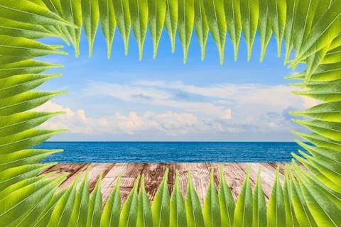 Coconut wooden  Stock Photos