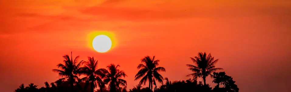 Coconutinsunset Stock Photos