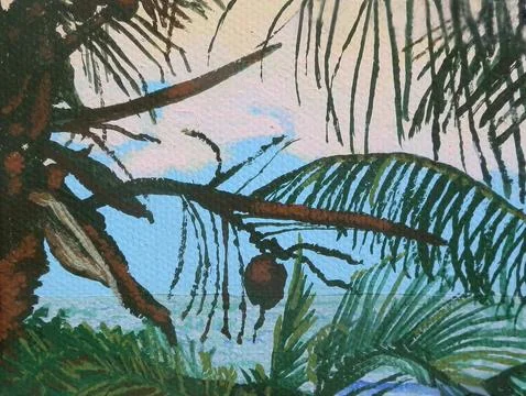 Coconuts along the coast Stock Illustration