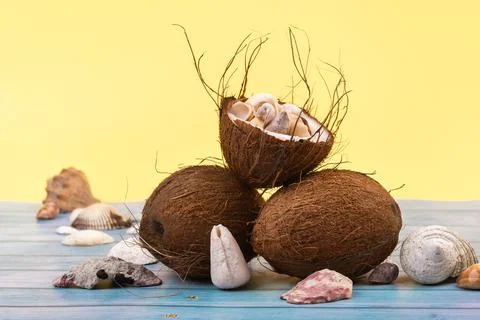 Coconuts and shells on a yellow and blue wooden background .Marine theme Foto stock
