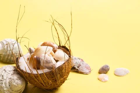 Coconuts and shells on a yellow background .Marine theme Foto stock