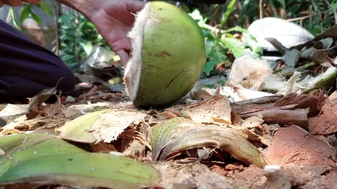 Coconuts are cut into halves Stock Footage 261125790