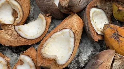 Coconuts that are dried in the sun Stock Footage 304276515