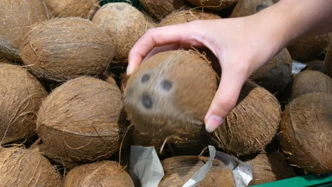 Coconuts are on shelf in supermarket. Stock Footage 157535271