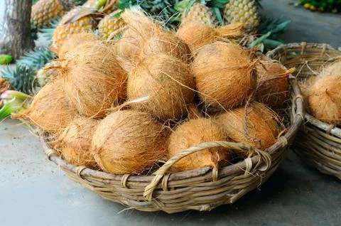 Coconuts in the basket in a vegetable shop Stock Photos