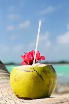 Coconuts on the beach Foto stock