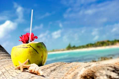 Coconuts on the beach Stock Photos