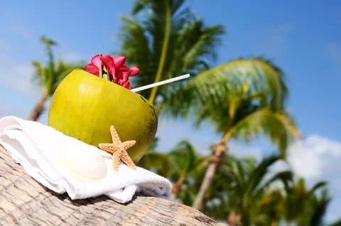 Coconuts on the beach Stock Photos