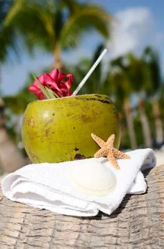 Coconuts on the beach Foto stock
