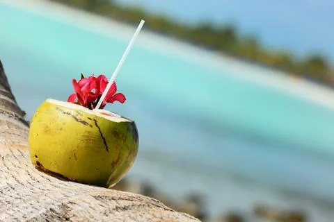 Coconuts on the beach Stock Photos