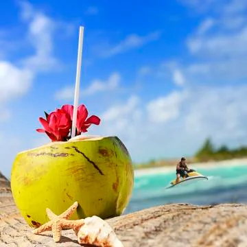 Coconuts on the beach Stock-Fotos