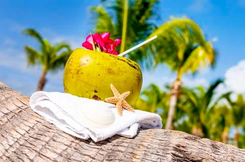 Coconuts on the beach Stock Photos