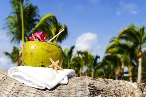 Coconuts on the beach Stock Photos
