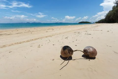 Coconuts on the beach Foto stock