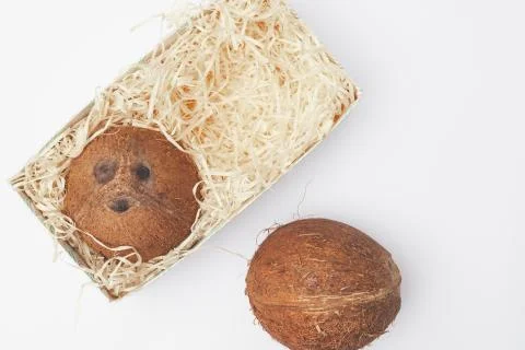 Coconuts in a box on a white background isolate, copy space, flatley Stock Photos