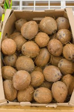 Coconuts in boxes in supermarket Stock Photos