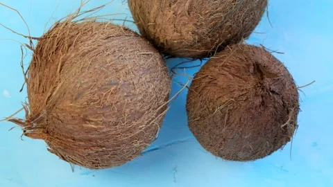Coconuts close-up .Coconut milk and coconut oil raw materials. Stock Footage 144181271