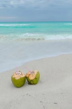 Coconuts cocktail, seashore Stock Photos