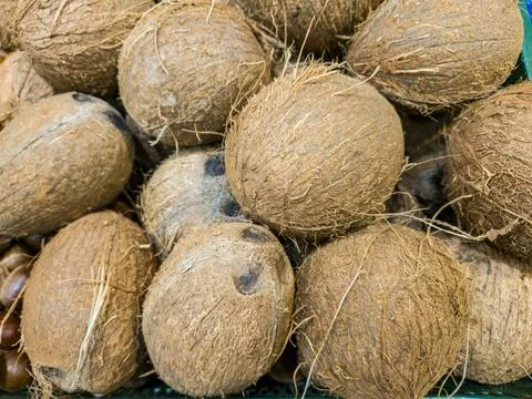 Coconuts on the counter in the store. Coconuts close-up background Stock Photos