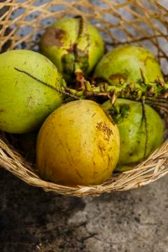 Coconuts-dumaguete Stock Photos