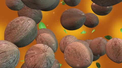 Coconuts Falling In Slow Motion Video stock 279838989