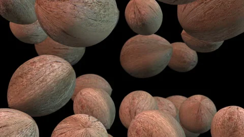 Coconuts Falling In Slow Motion. Luma Channel. Video stock 279838928