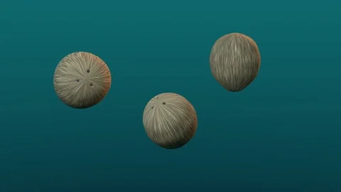 Coconuts floating in teal space. 3d rendering Stock Footage 341999737