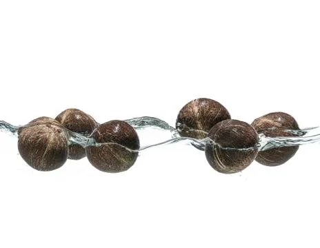 Coconuts floating in water on a white background Stock Photos