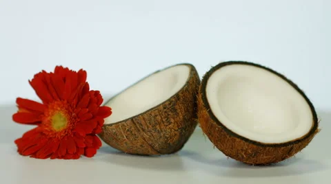 Coconuts flower Stock-Footage 43182517