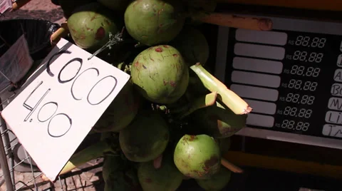 Coconuts. 库存影片 27877072