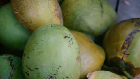 COCONUTS 库存影片 92284483