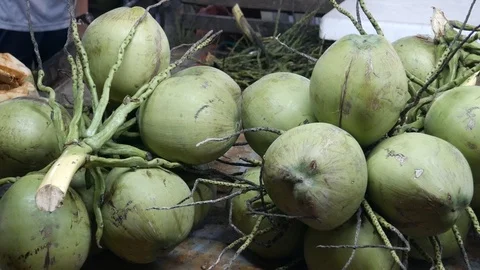 Coconuts 스톡 동영상 106182330