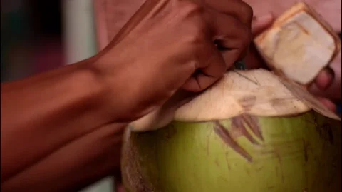 Coconuts. Video stock 256620373