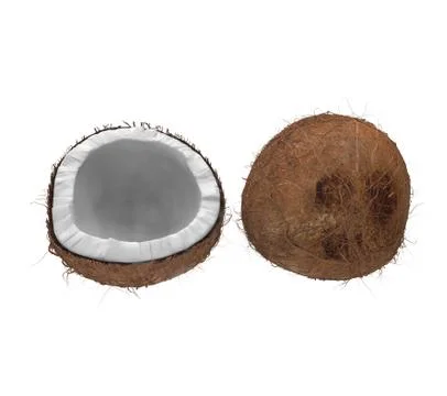 Coconuts Front View Stock Illustration