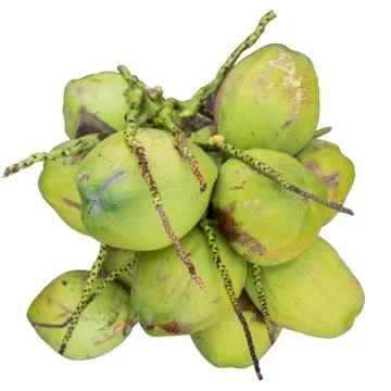 Coconuts fruit isolated Stock Photos