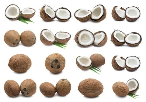 Coconuts Stock Illustration