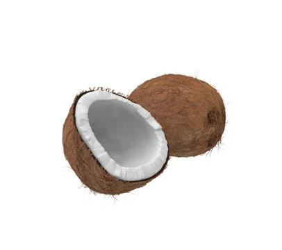 Coconuts Stock Illustration